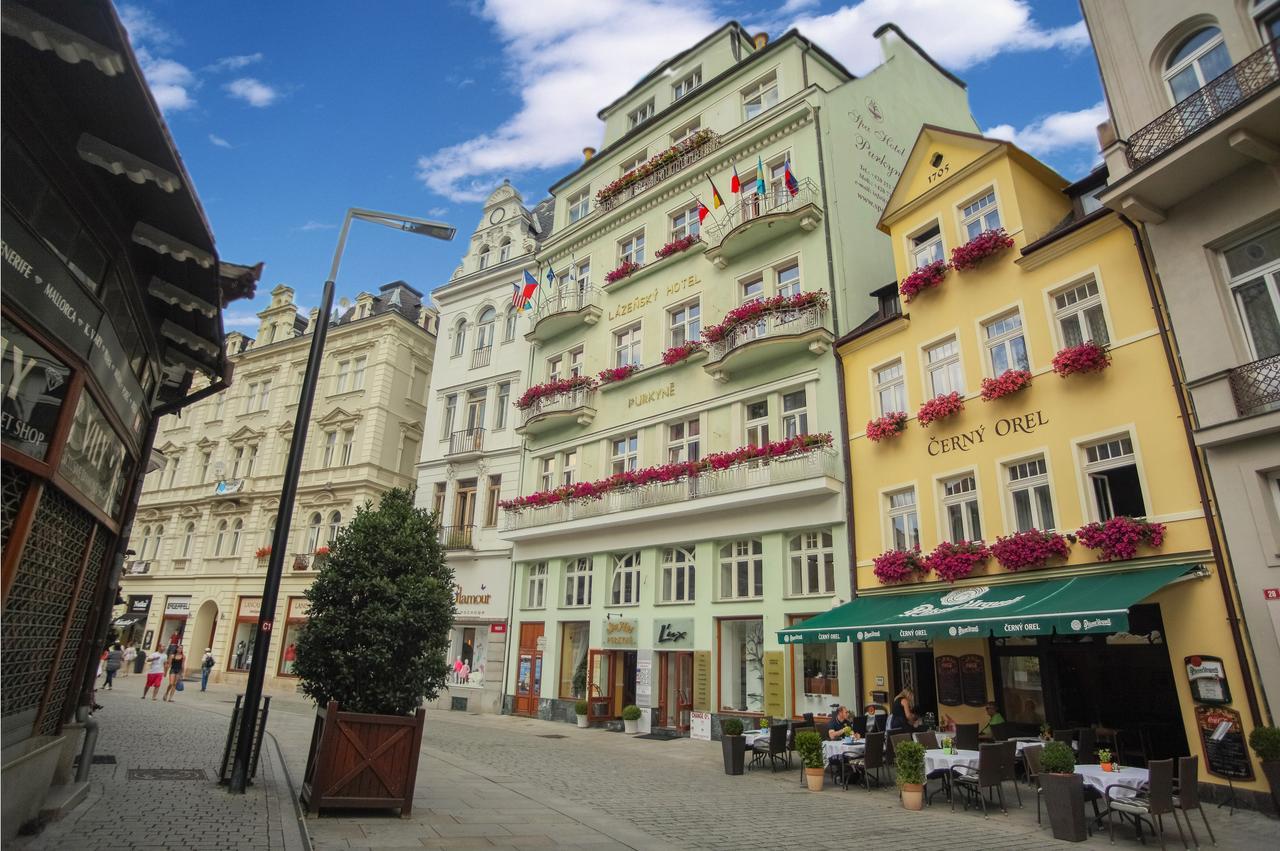 Spa Hotel Purkyne Karlovy Vary Eksteriør bilde